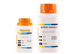 Ágar Nutriente No. 2 